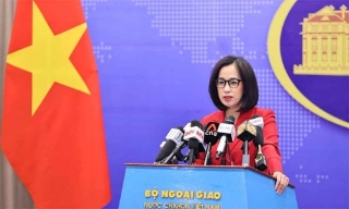 Việt Nam phản đối hành vi sử dụng vũ lực tấn công vào các quốc gia có chủ quyền